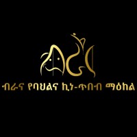 AASTU Brana logo - Similar company to Proghubs