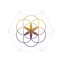 Numinara Ltd logo - Similar company to Invest4Growth Asset Management Ltd.