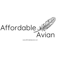 Affordable Avian logo - Similar company to Rogue Talent Group