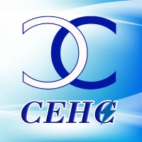 City Electric Holdings Company (Pvt) Ltd logo - Similar company to Alidon Company (Pvt) Ltd