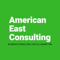 American East Consulting logo - Similar company to Dragonfruit Digital