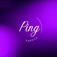 Ping Agency logo - Similar company to Z-Agency S.R.O.