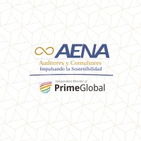AENA Auditores y Consultores logo - Similar company to Deltech Audit