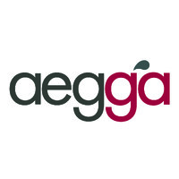 aegga logo - Similar company to Gestoría Ivaliver