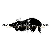 Tribal Boy Design, Llc