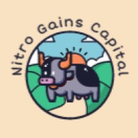 Nitro Gains Capital logo - Similar company to Sea Way