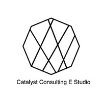 Catalyst Consulting E Studio logo - Similar company to Équipement Médical Médi-Sécur Inc.