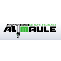 Gruas de Alto Tonelaje Maule logo - Similar company to Mcs Grúas