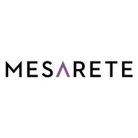 Mesarete Capital logo - Similar company to Global Sovereign Advisory