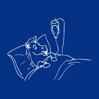 Seguros Hípicos logo - Similar company to Yeguada Monte Alegre