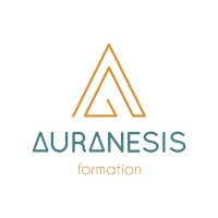 Auranesis Kinésiologie logo - Similar company to Ektc