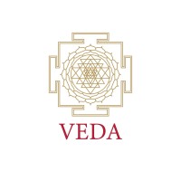 THE VEDA logo - Similar company to Ovm Studios