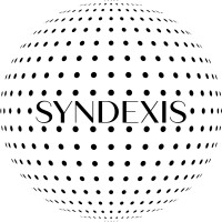 Syndexis logo - Similar company to Lfimmo