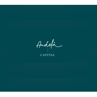 Audelá Capital logo - Similar company to Mokkinbado Consulting Solutions