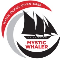 Mystic Ocean Adventures logo - Similar company to Paso Pacifico