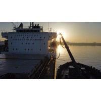 Muis Marine Surveys logo - Similar company to Muis Software B.V.