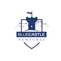 Blue Castle Ventures LTD logo - Similar company to Jigzo