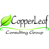 Copperleaf Consulting Group logo - Similar company to Gerry