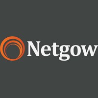 Netgow logo - Similar company to Cashback Online