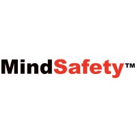 MINDSAFETY INTERNATIONAL LIMITED logo - Similar company to Their Future Today