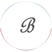 Brolin Geopolitics logo - Similar company to Vertical Geopolitics Lab