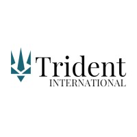 Trident International Ltd logo - Similar company to Elite Containers And Logistics