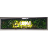 LUNA SERVICIOS GENERALES S.A.C. logo - Similar company to Starlight