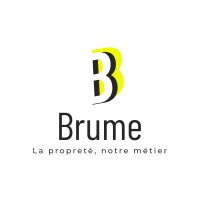 Brume-service logo - Similar company to Io Connect Solutions