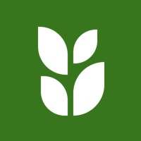 Wyberba logo - Similar company to Insightier