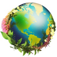 Chrysalis Natural Medicine Clinic