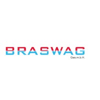 Braswag Brand- und Wasserschaden Sanierungs GmbH logo - Similar company to Ish-Solutions