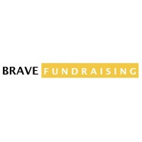 Brave Fundraising logo - Similar company to Threatwise Global Llc