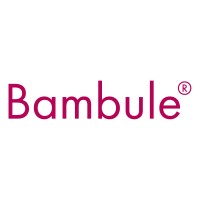 Bambule ® logo - Similar company to One System S.R.O.