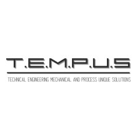 T.E.M.P.U.S PROCESS logo - Similar company to Incodes