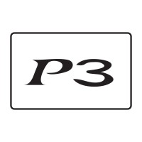 P3 Computer Services Ltd logo - Similar company to Team Rise Project