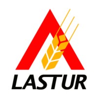 LASTUR SA DE CV logo - Similar company to Imexan