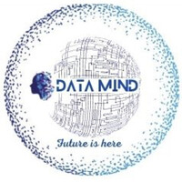 DATA MIND LTD. logo - Similar company to Network Pod Ltd