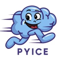 PYICE logo - Similar company to Digiprompt
