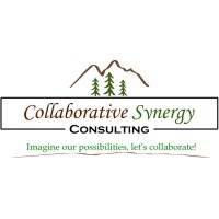 Collaborative Synergy Consulting logo - Similar company to Firstrule Group