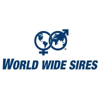 World Wide Sires B-NL logo - Similar company to Mongolia Economic Forum 2025