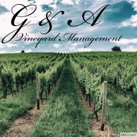 G&A Vineyard Management logo
