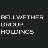 Bellwether Group Holdings logo - Similar company to Capital Point Analytics