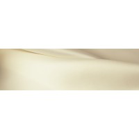 CA Human Consulting logo - Similar company to Agere Global