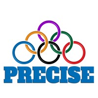 PRECISE INDUSTRIAL COATINGS logo - Similar company to 360 Construction, Llc