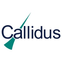 Callidus Welding Solutions logo - Similar company to Score (Valve Condition & Performance Monitoring)