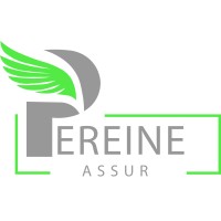 pereine assur logo - Similar company to Lanzuo Group