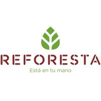Reforesta logo - Similar company to Geforest