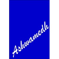 Ashwamedh Engineers & Consultants logo - Similar company to Ashwamedh Spaces Developers