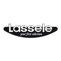 LASSELE (BLUENIX CO., LTD) logo - Similar company to Paramount Services Ltd