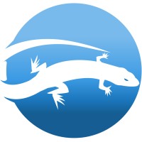 Blue Gecko Communications logo - Similar company to 360Am
